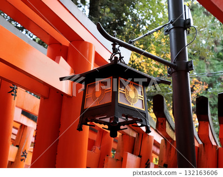 Fushimi Inari Taisha Shrine, Kyoto City, Kyoto Prefecture 132163606