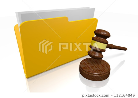 Folder with documents and gavel - court archives concept 132164049