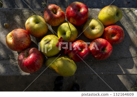 A harvest of colorful red and yellow apples laid out on a wooden surface 132164609