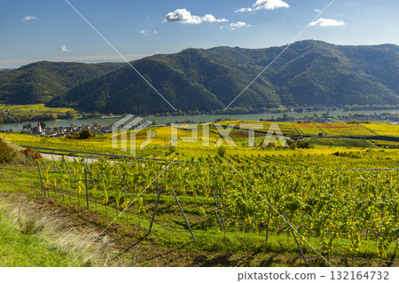 Wachau valley vineyards with Danube river and Weisenkirchen in der Wachau Wachau valley vineyards with Danube river and Weisenkirchen in der Wachau 132164732