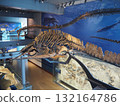 洛杉磯縣自然歷史博物館令人印象深刻的恐龍骨骼展覽 132164786