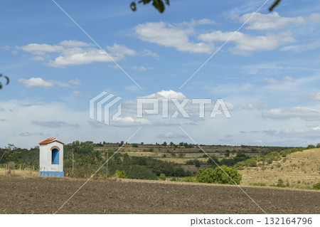 Village shrine standing in field with vineyard landscape Vrbovec Czechia Village shrine standing in field with vineyard landscape Vrbovec Czechia 132164796