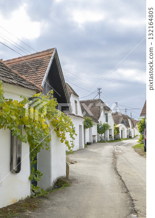 Zellerndorf wine cellar lane showcasing traditional architecture Zellerndorf wine cellar lane showcasing traditional architecture 132164805