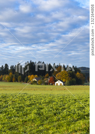 Scenic rural landscape with houses and colorful autumn trees in Grafenschlag Scenic rural landscape with houses and colorful autumn trees in Grafenschlag 132164808
