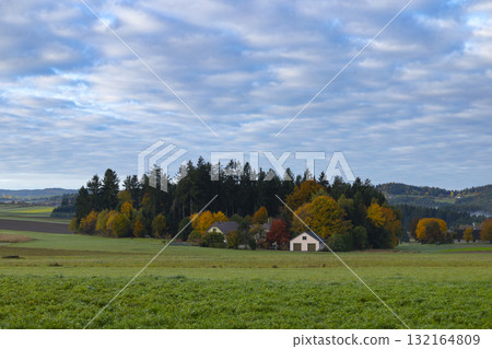 Autumn rural landscape with colorful trees in Grafenschlag, Austria 132164809