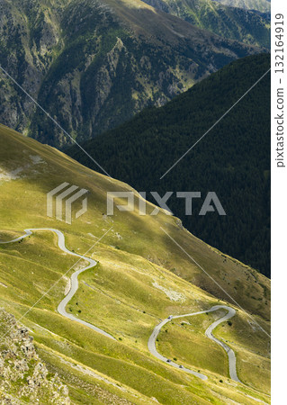 Winding mountain road traversing green slopes in Maritime Alps 132164919