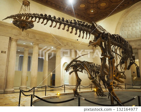 Impressive dinosaur skeleton exhibit at the Natural History Museum of Los Angeles County 132164977