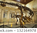 洛杉磯縣自然歷史博物館令人印象深刻的恐龍骨骼展覽 132164978