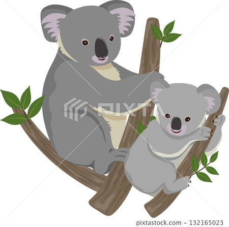 親子的考拉 132165023