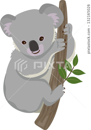 孩子們的考拉 132165026