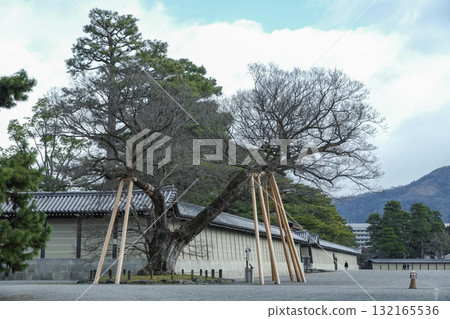Kyoto Prefecture_Kyoto Imperial Palace 132165536