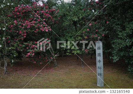Kyoto Prefecture_Kyoto Imperial Palace Kyoto Prefecture_Kyoto Imperial Palace 132165540