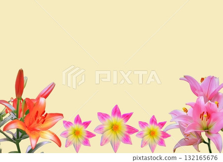 Lily and dahlia frame Lily and dahlia frame 132165676