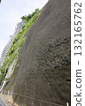 生長在裸露懸崖上的植物 132165762