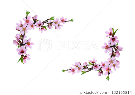 Spring peach twigs in floral corner arrangements isolated on white Spring peach twigs in floral corner arrangements isolated on white 132165814