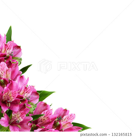 Pink alstroemeria flowers in a floral corner arrangement isolated on white or transparent background Pink alstroemeria flowers in a floral corner arrangement isolated on white or transparent background 132165815