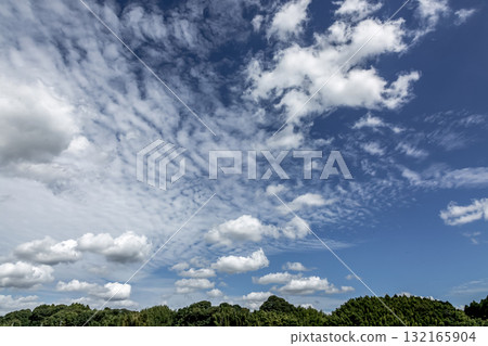 Clouds floating in the blue sky [Background material] 132165904