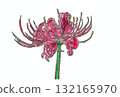 Red spider lilies carved with an eraser stamp 132165970