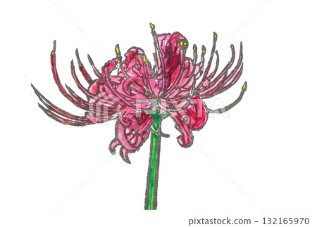 Red spider lilies carved with an eraser stamp Red spider lilies carved with an eraser stamp 132165970