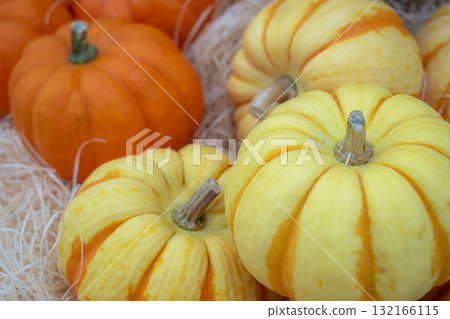 Colorful pumpkin Colorful pumpkin 132166115