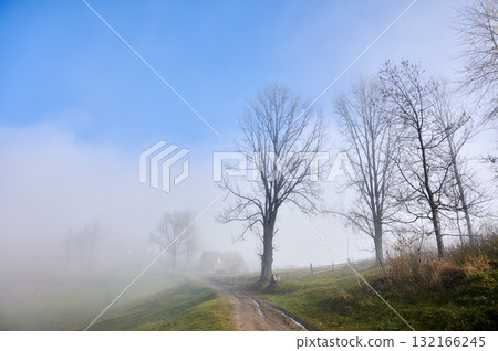 Beautiful landscape of countryside with grassy hill road, trees and foggy house under blue sky with fog Beautiful landscape of countryside with grassy hill road, trees and foggy house under blue sky with fog 132166245