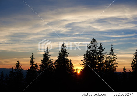 Setting sun casts golden glow as it dips below horizon, silhouetting tall pine trees against sky filled with wispy clouds. Shades of orange and blue blend together, creating picturesque evening scene. Setting sun casts golden glow as it dips below horizon, silhouetting tall pine trees against sky filled with wispy clouds. Shades of orange and blue blend together, creating picturesque evening scene. 132166274
