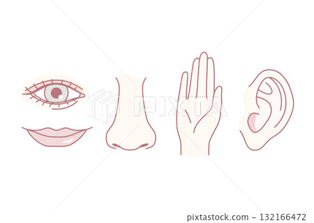 Sense organs for feeling concept. 132166472
