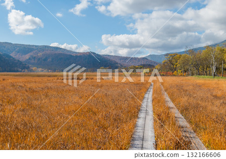 用紅葉著色的燃燒的秋天尾瀨 132166606