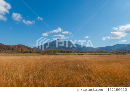 用紅葉著色的燃燒的秋天尾瀨 132166610