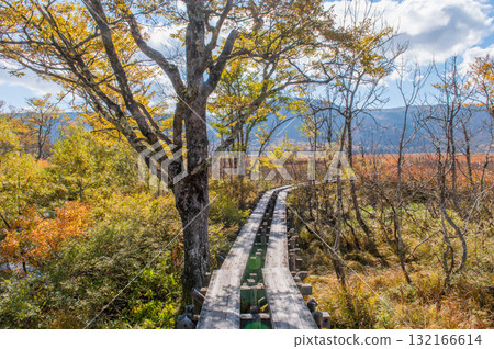Burning autumn Oze colored with colored leaves 132166614