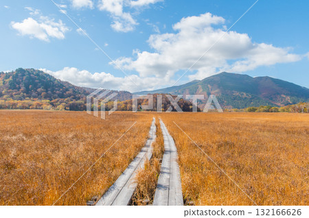 用紅葉著色的燃燒的秋天尾瀨 用紅葉著色的燃燒的秋天尾瀨 132166626
