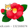一隻柴犬在紅色山茶花叢中快樂地揮手 132166674