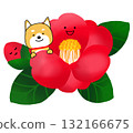 一隻柴犬從紅色山茶花叢中冒出來 132166675