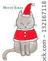 cat dressed as santa 132167118