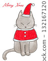 cat dressed as santa 132167120