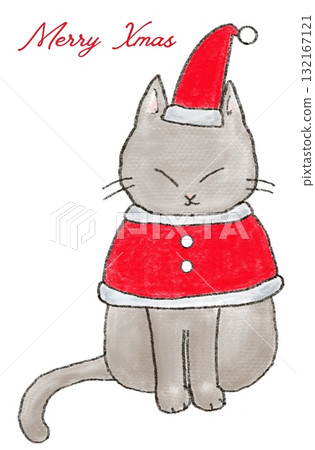 cat dressed as santa cat dressed as santa 132167121