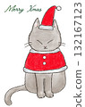 cat dressed as santa 132167123
