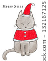 cat dressed as santa 132167125