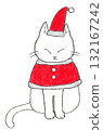 Cat dressed as Santa 132167242
