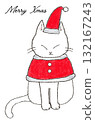 Cat dressed as Santa 132167243