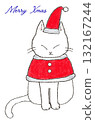 Cat dressed as Santa 132167244
