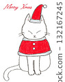 Cat dressed as Santa 132167245