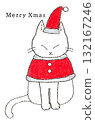 Cat dressed as Santa 132167246