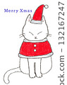 Cat dressed as Santa 132167247