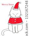 Cat dressed as Santa 132167248