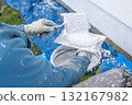 Worker applying plaster material with trowel for renovation 132167982