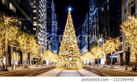 巨大的聖誕樹的夜景 132168448