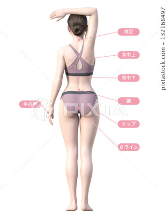 Illustration of hair removal treatment area Japanese 3D model female whole body facing backwards Illustration of hair removal treatment area Japanese 3D model female whole body facing backwards 132168497