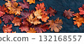 autumn leaves seamless pattern background banner 132168557