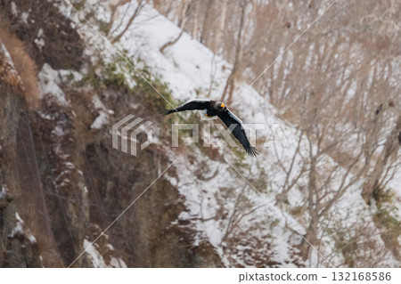 Shiretoko winter 132168586